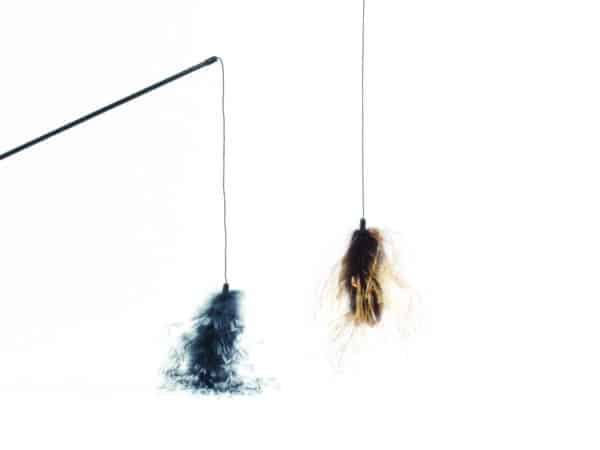 Canne a peche avec plumes imitation autruche pour chats - Beeztees