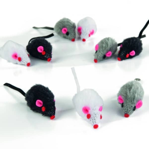 Image du produit précédent