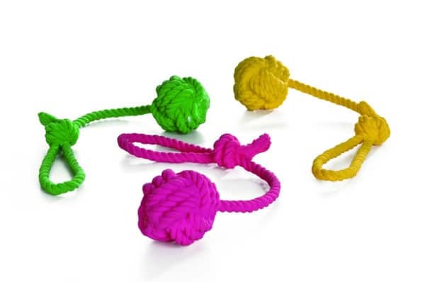 Balle a lancer en latex Cordy pour chiens - Beeztees