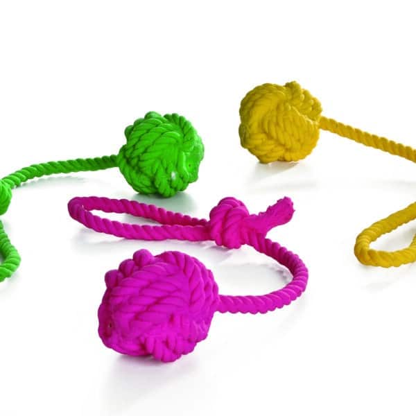 Image du produit précédent