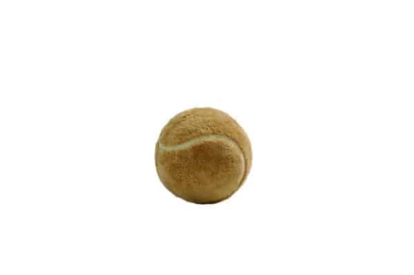 Balle de tennis en peluche pour chiens 10 cm