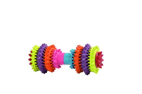 Haltere multicolore en caoutchouc pour l'entretien dentaire des chiens 14 x 6 cm