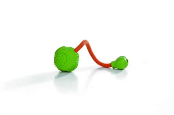 Balle verte en caoutchouc avec corde, pour chiens 5 cm diamètre - Beeztees
