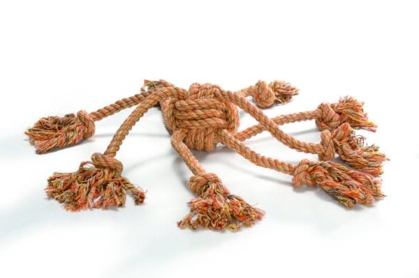 Corde Flossy Pieuvre orange, pour chiens 32 cm - Beeztees