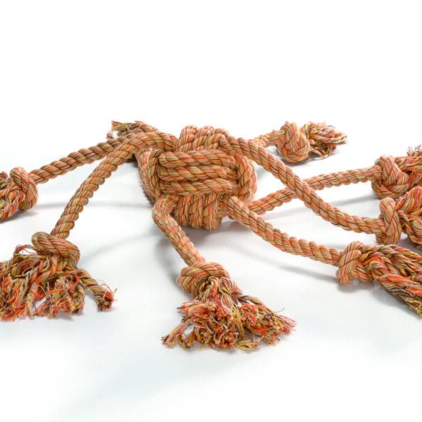 Image du produit suivant