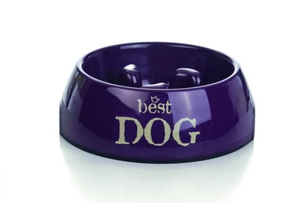 Gamelle Best Dog en melamine et avec picots pour chiens 14 x 4.5 cm - Beeztees