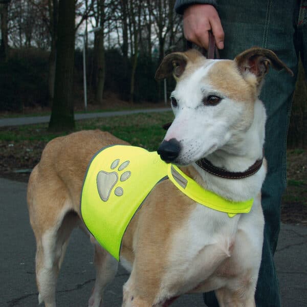 Image du produit suivant