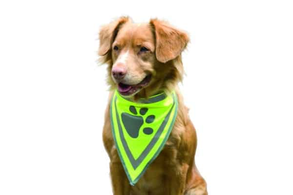 Bandana de securite reflechissant pour chiens 25 x 46-60 cm - Beeztees
