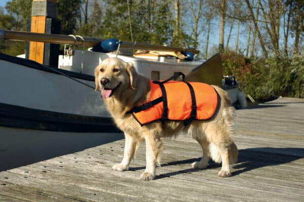 Veste de securite et de sauvetage pour chiens taille S - Beeztees
