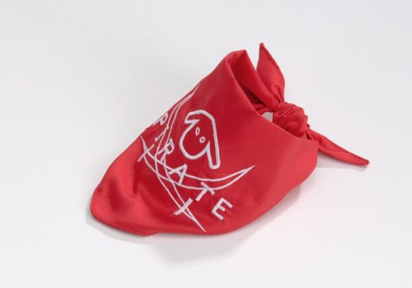 T-shirt avec bandana Fashion Pirate pour chiens 45 cm - Beeztees