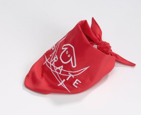 Image du produit suivant