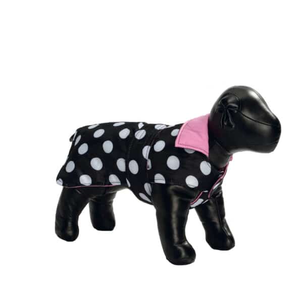 Image du produit précédent