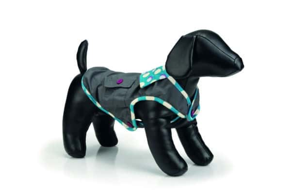 Impermeable Minipal pour chihuahuas et tout petits chiens 26 cm - Beeztees