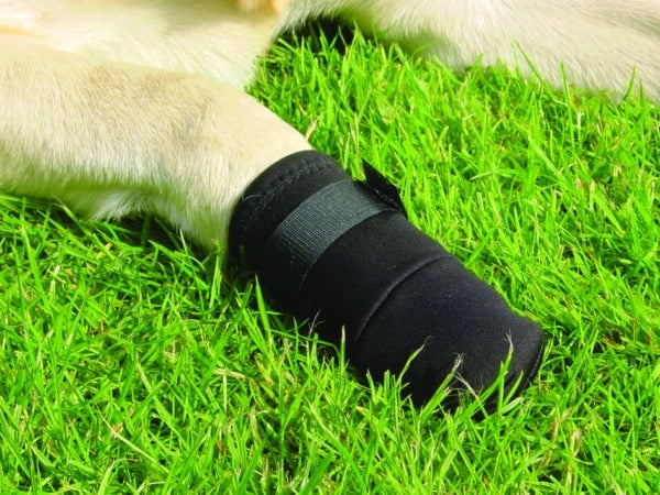 Bottes de protection pour chiens taille S