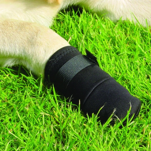 Image du produit précédent