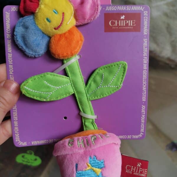 Image du produit précédent