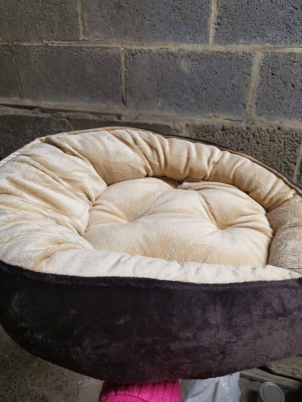 canape siesta  45x12cm