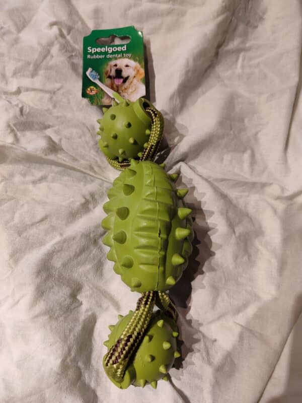 Jouet dentaire vert