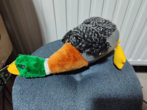 Canard en peluche pour chiens - 36 cm