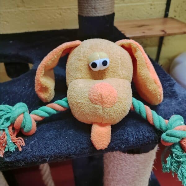 Image du produit suivant