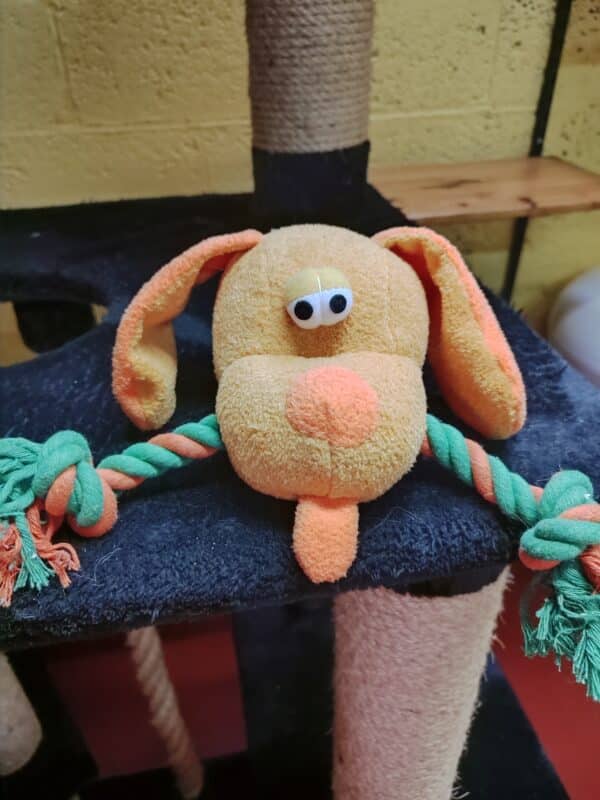 Chien en peluche avec corde - 30 X 20 X 11 cm