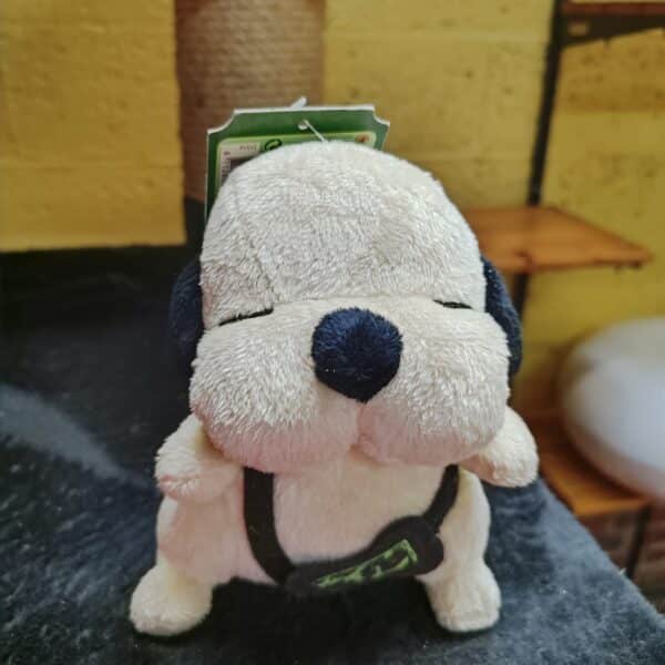 Image du produit suivant