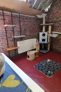 f3e800_0c843b0db1e842c58b5f6e1c92855d74~mv2