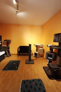 f3e800_3a3023e6719b4ae8ab7b221ae85fd33d~mv2