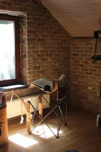 f3e800_6202de0ab0d042c0a5e7677e26732b42~mv2