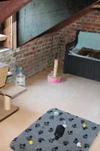 f3e800_7cf140b0f1674e07b65ca2f9dd08c3b5~mv2