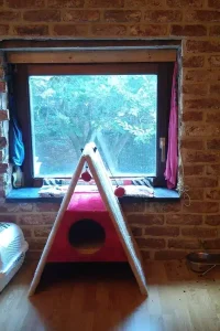 f3e800_814ffccb01f74d5283e90a739a89c667~mv2