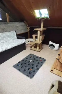 f3e800_8b8616326f6245479ba5d1707dfd08d7~mv2