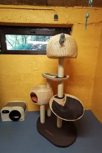 f3e800_af2ba61b95624a5fa6c188969109c844~mv2