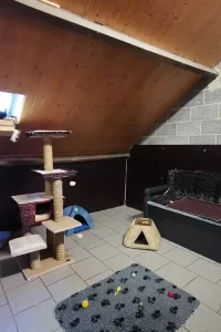 f3e800_cfe8f79d03c94417b5dd10235b936b47~mv2