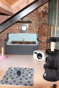 f3e800_e07043204a2b4948b58ffb6b299f7a6d~mv2