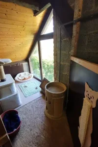 f3e800_fb467f7a3d524021ab5d0e1ce457f0cf~mv2